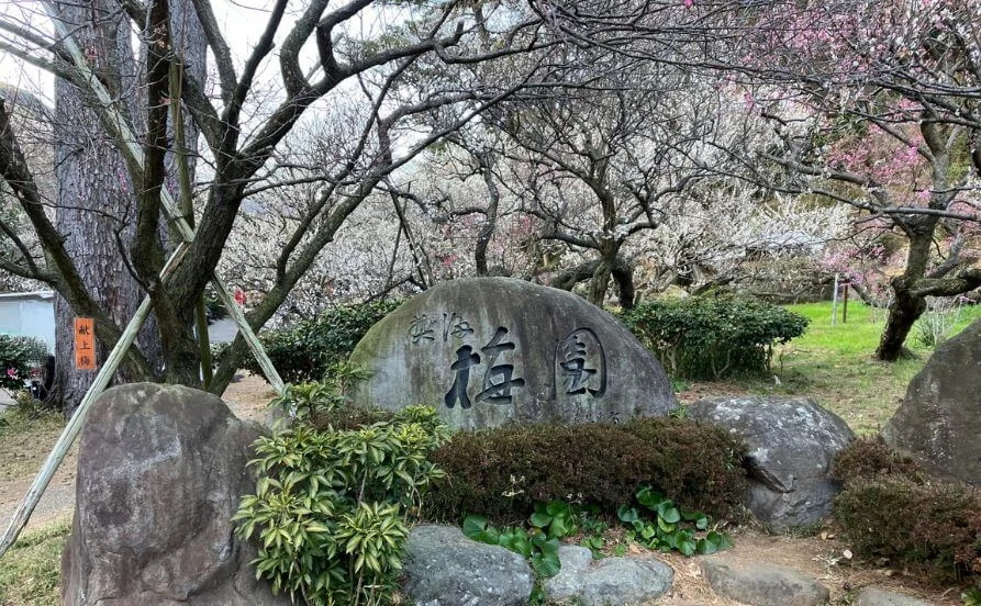 HP用スライダー画像2（右上）