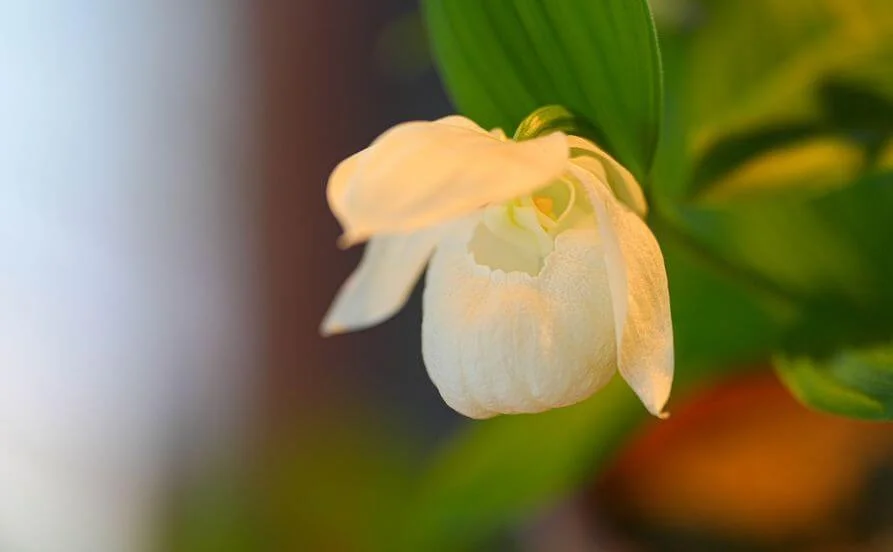 量環境画像（右下の画像）