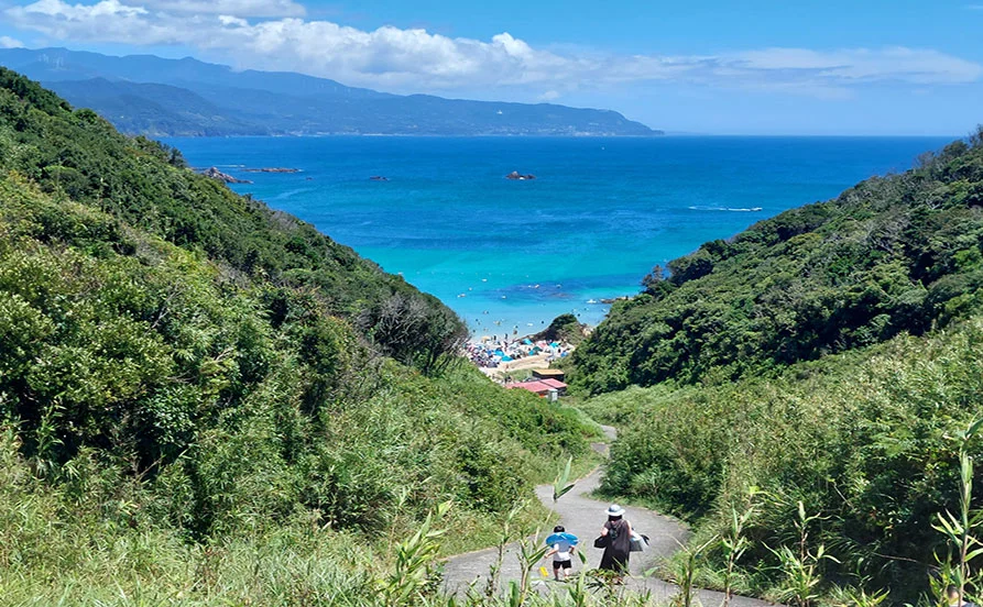 量環境画像（右下の画像）