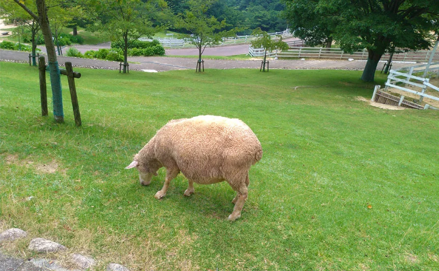 求人メイン