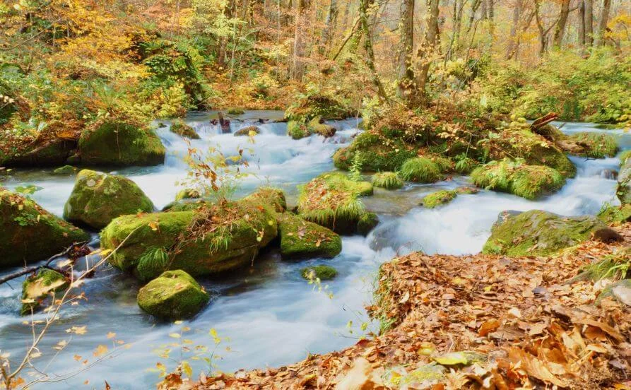 HP用スライダー画像2（右上）