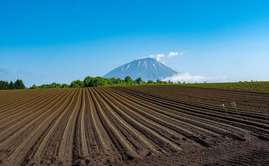 HP用スライダー画像2（右上）