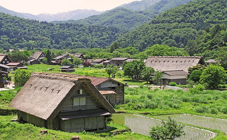 求人メイン