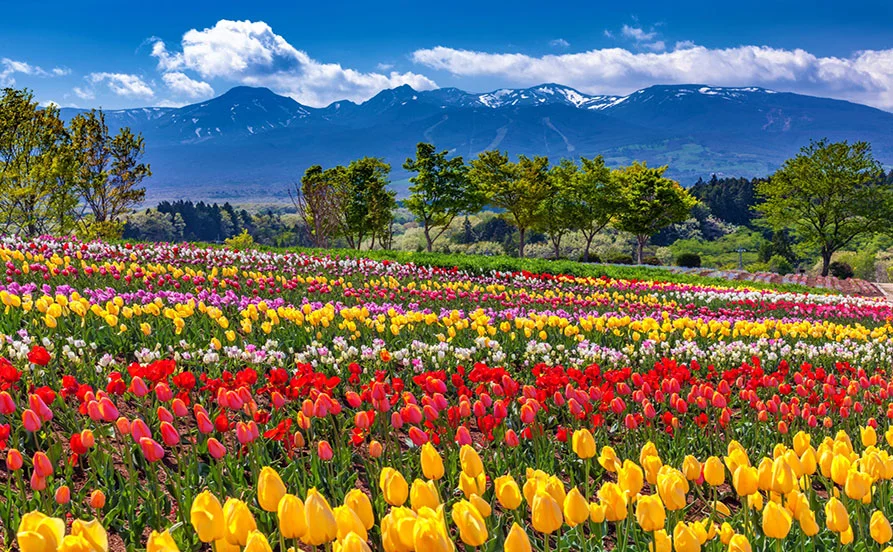 HP用スライダー画像2（右上）