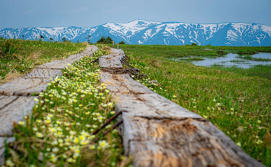 【寮費無料！個室タイプ】美しい自然に囲まれた人気エリア！伝統と格式ある老舗旅館でリゾートバイトしませんか？