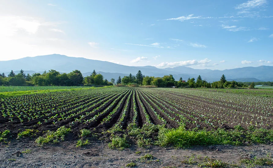 【自然の中で気持ちよく働ける】 派遣スタッフ多数！北軽井沢で未経験者OKのリゾートバイト！