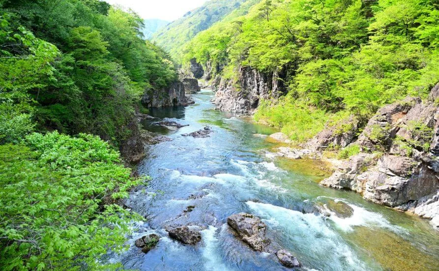 求人メイン
