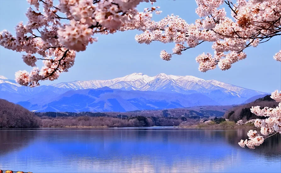 HP用スライダー画像2（右上）