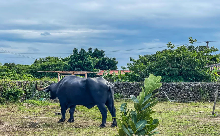 量環境画像（右下の画像）