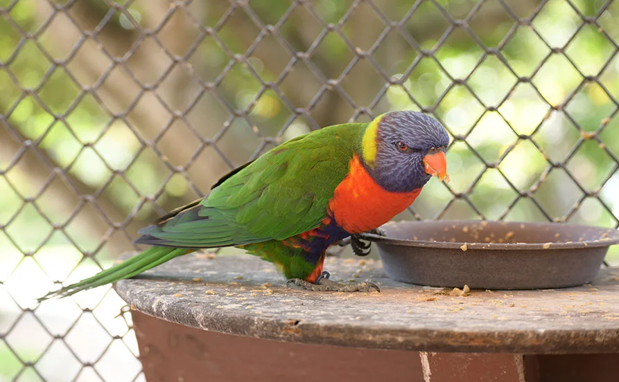 HP用スライダー画像1(左半分)