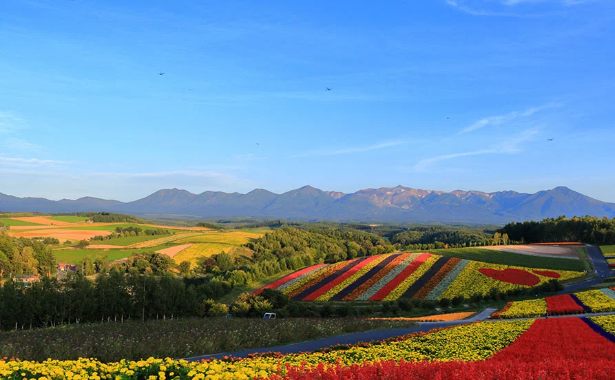 秋の北海道♪富良野案件でました☆人気の郷土料理店でのお仕事！通し勤務×未経験者OK