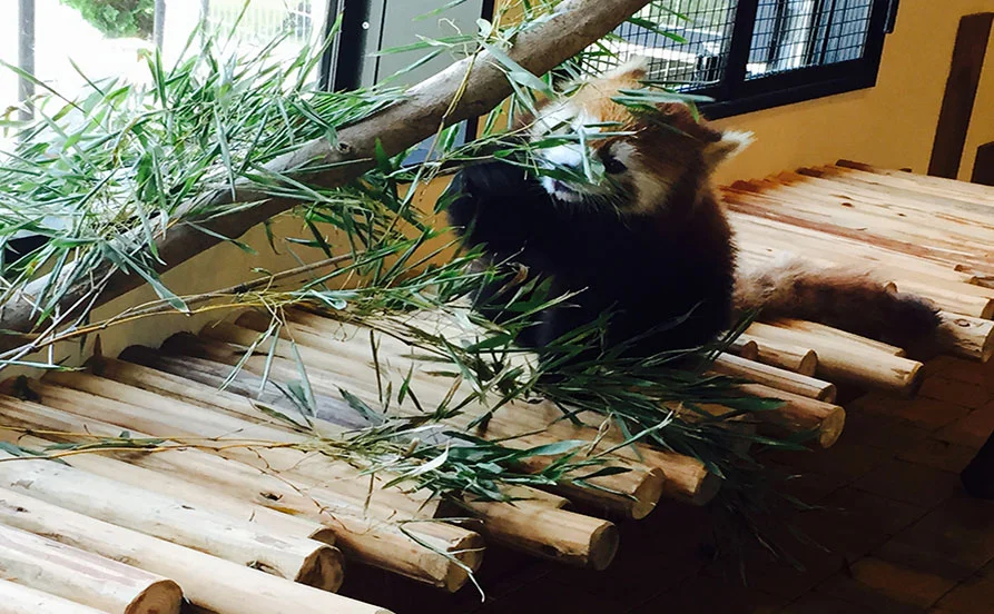 HP用スライダー画像2（右上）