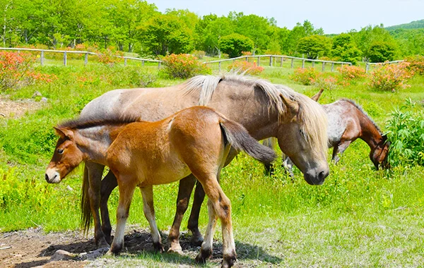 HP用スライダー画像2（右上）
