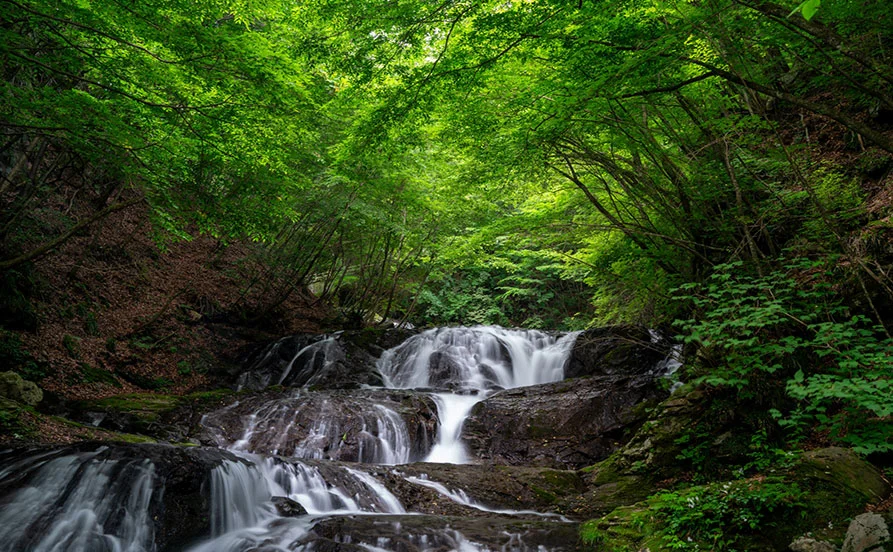 HP用スライダー画像2（右上）