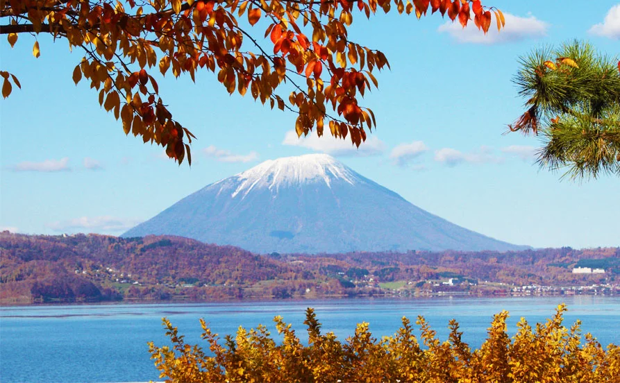 求人メイン