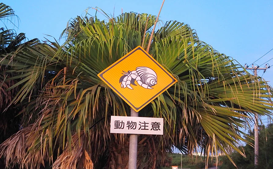 求人メイン