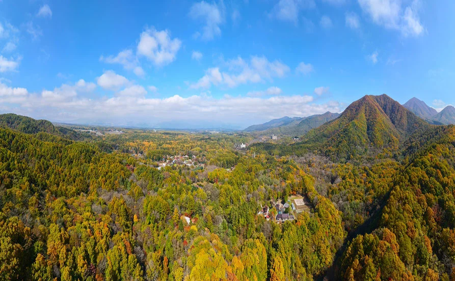 《個室寮無料＆温泉入れる》料理好きにぴったり♪旬の食材のお料理が自慢✨ファミリーに人気のホテルで調理補助！