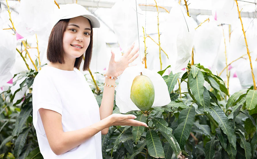 HP用スライダー画像1(左半分)