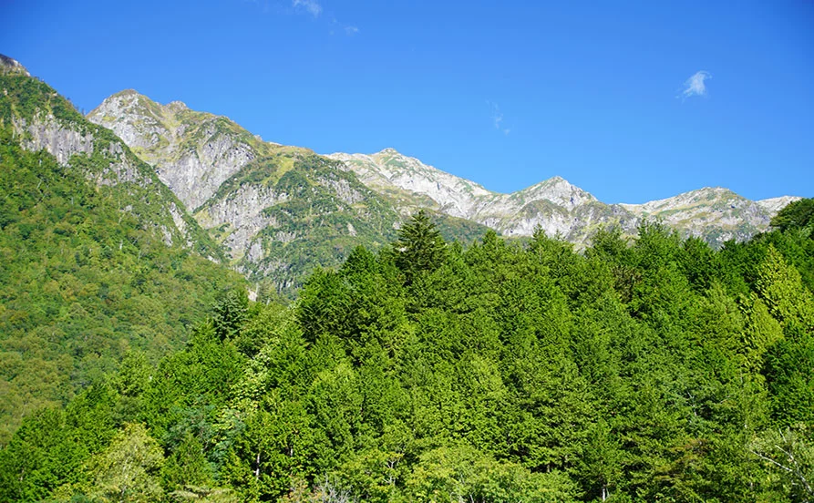 量環境画像（右下の画像）