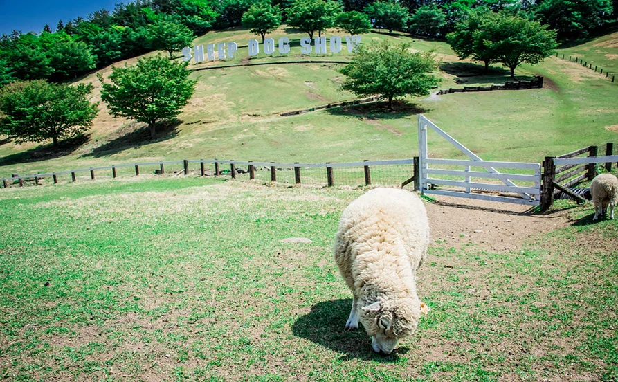 量環境画像（右下の画像）