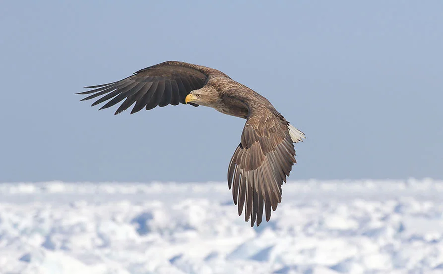 量環境画像（右下の画像）