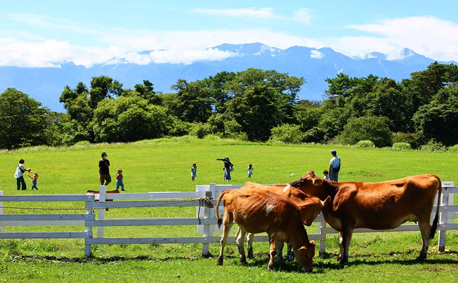 HP用スライダー画像2（右上）