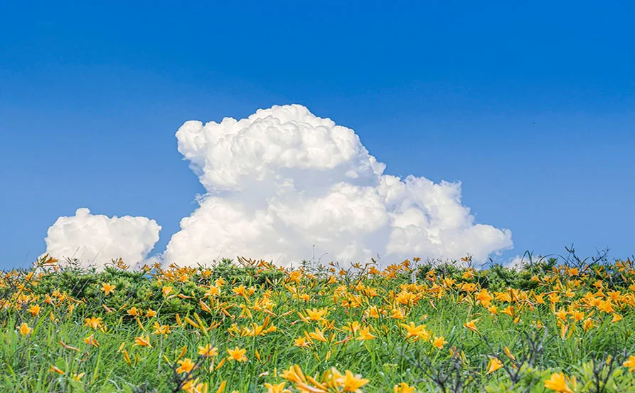 HP用スライダー画像1(左半分)