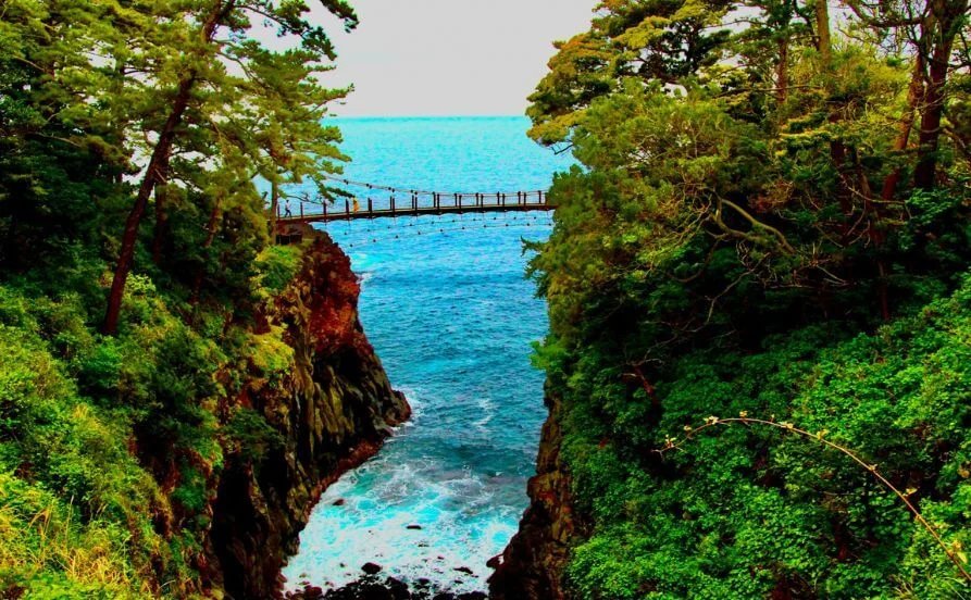【毎日サウナ入れます】サウナ好きにはとっておきのお仕事！静岡県の伊豆高原🍃車持ち込みOK👌