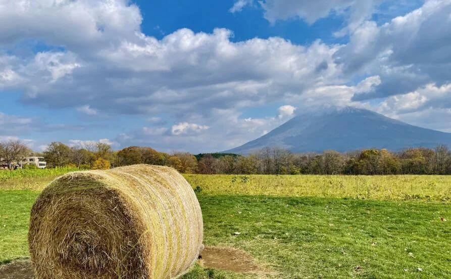 【北海道ニセコ🐮】温泉旅館で通し勤務のリゾートバイト！未経験者の応募OK【コンビニ・スーパー徒歩圏内！買い物に便利☆】