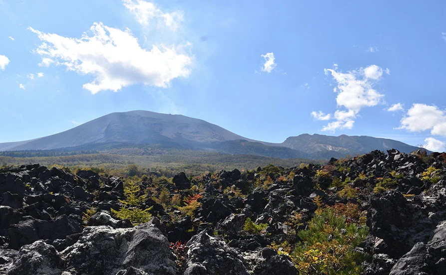 量環境画像（右下の画像）