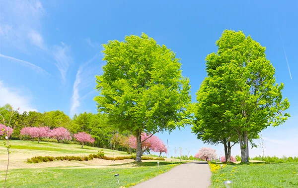 人気の売店求人【安比高原】未経験OK!派遣スタッフ多く、初心者さんでも安心のリゾートバイト♪
