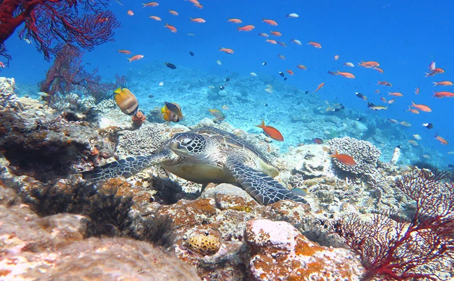 HP用スライダー画像2（右上）