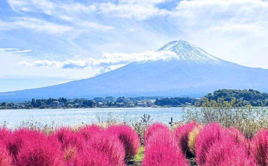 HP用スライダー画像2（右上）