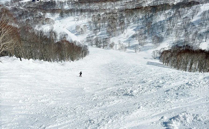 調理スタッフ募集! 未経験OK✨ 無料リフト券とスキー・スノボレンタル無料で、冬を満喫しながら働こう😍