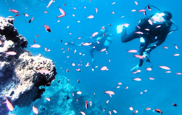 "働く×楽しむ"南国リゾートバイト【人間関係◎、派遣スタッフ最多80名在籍あり】大型リゾートホテル