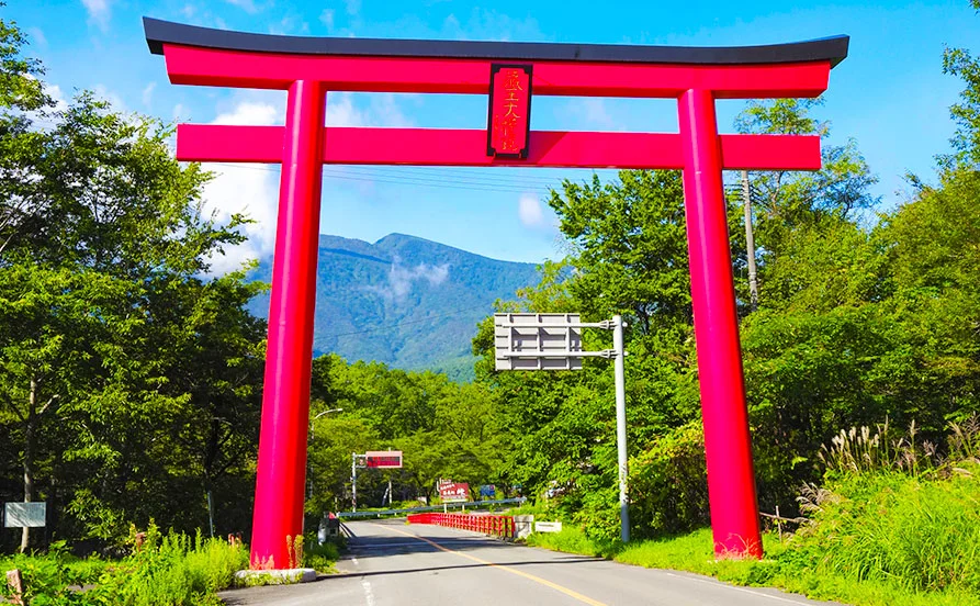 求人メイン