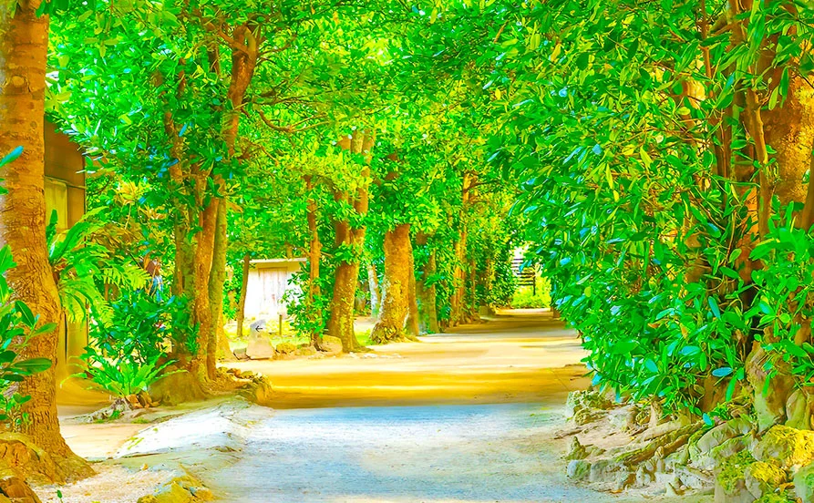 HP用スライダー画像2（右上）