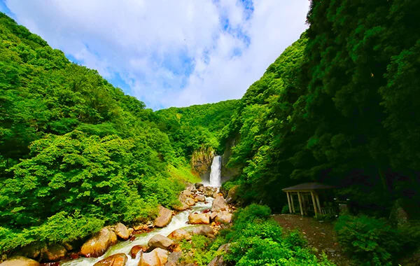 【寮はWi-Fi完備】妙高高原の老舗高級ホテルで自然に囲まれてリゾートバイトしませんか？