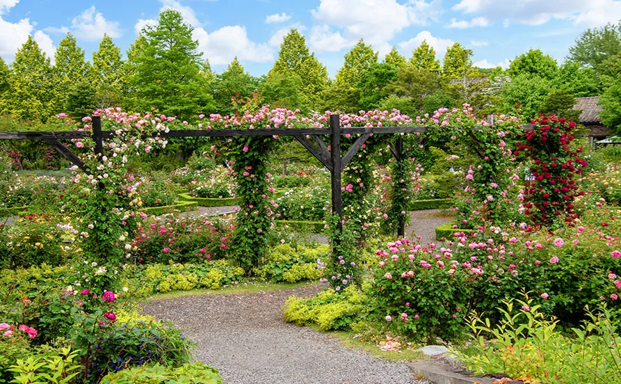 HP用スライダー画像2（右上）