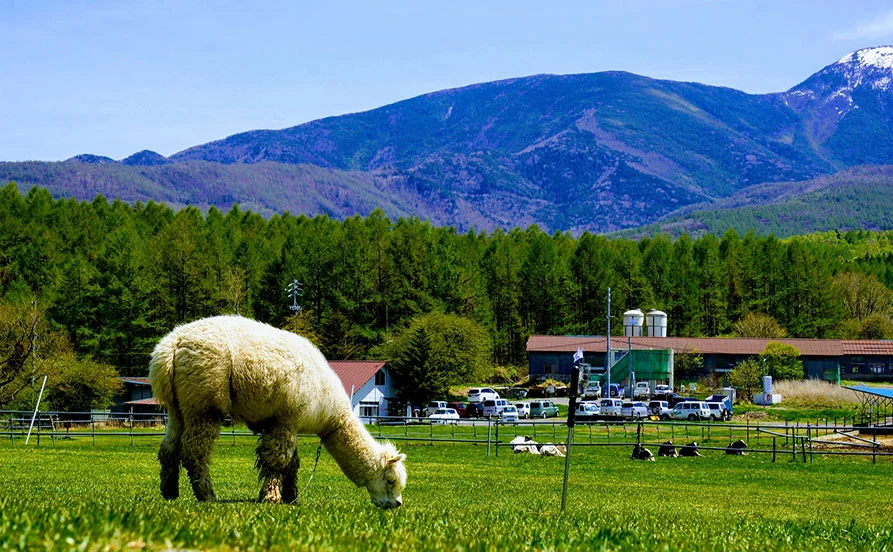 【避暑地】＼長野県🍃蓼科高原／社食でおいしい食事が3食無料！新築寮で快適な住環境をご提供🙌