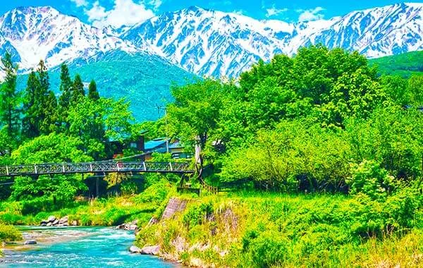 求人メイン