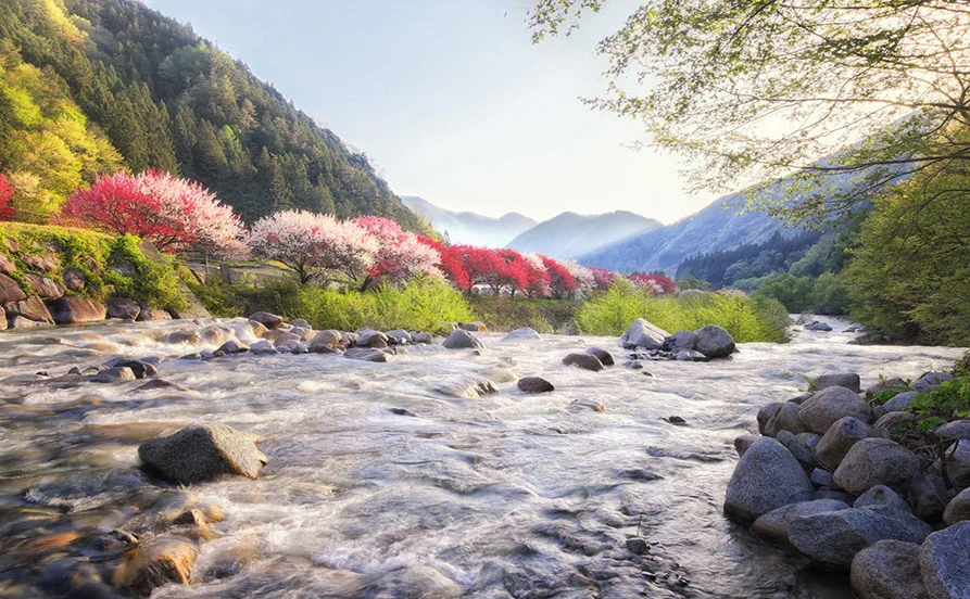 HP用スライダー画像2（右上）