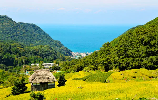 ＼海目の前👀✨／静岡の大型ホテル案件💡完全個室寮 × 周辺環境〇高時給！【西伊豆】