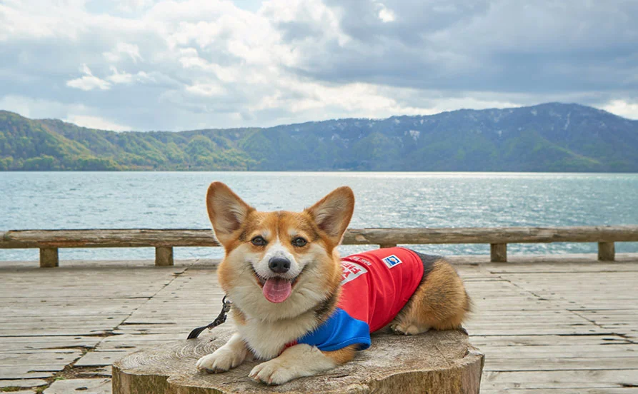 HP用スライダー画像1(左半分)