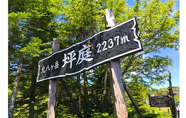 秋の白樺🍃寮は個室タイプでWi-Fiが部屋で使えます✨食費無料！毎日3食ご飯付き！【白樺高原】