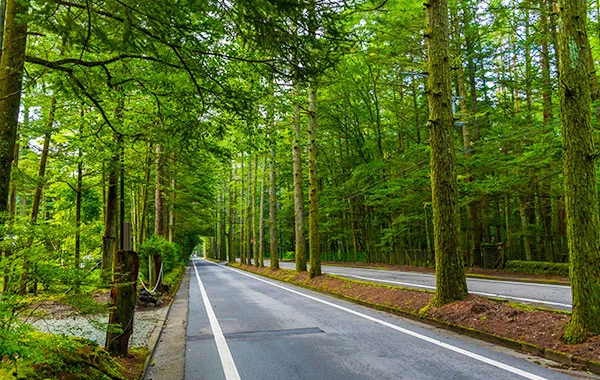 年末年始!高時給!短期求人【日本を代表する避暑地🌿軽井沢】未経験者OK!この機会にリゾートバイトデビュー✨