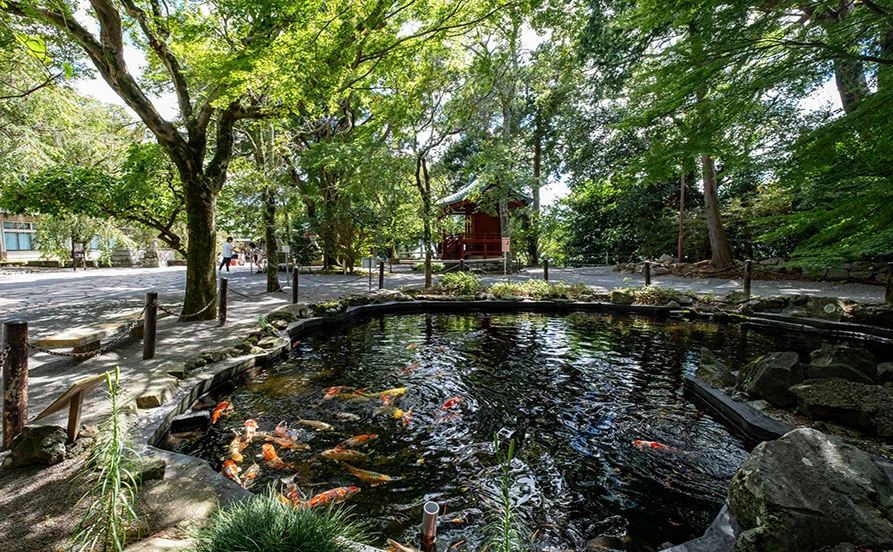 熱海エリアで高満了率の人気求人🌸住み込み寮は寮費・水道光熱費無料の個室タイプです😊