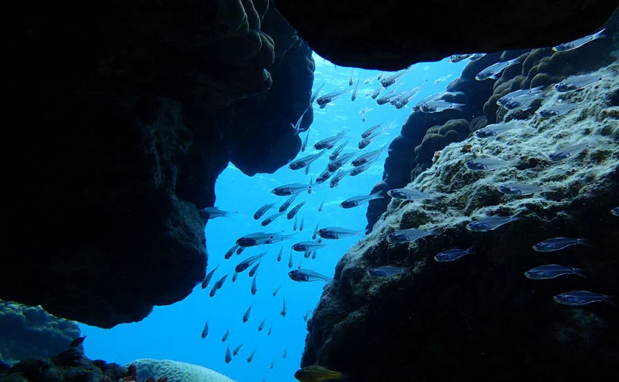 大人気！沖縄！2月スタート♢職場の人たちは仲いいですよ😊客室清掃経験者大歓迎🙌【石垣島】