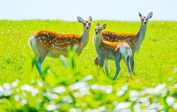 HP用スライダー画像2（右上）