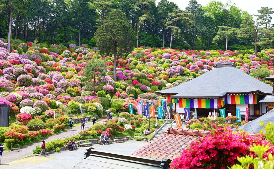 ＼年末年始 短期／東京 奥多摩エリアの自然豊かな保養所でリゾートバイトするチャンス✨